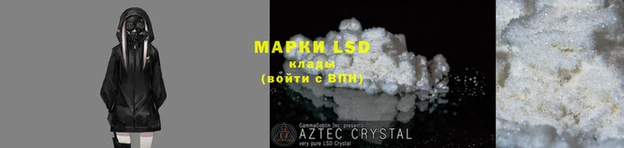 PSILOCYBIN Нефтегорск