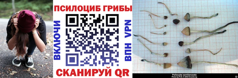 цены наркотик  Похвистнево  Псилоцибиновые грибы прущие грибы 